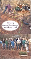 Postkarten MammutBaumhaus Pflanzung (11 Stück) Produktbild